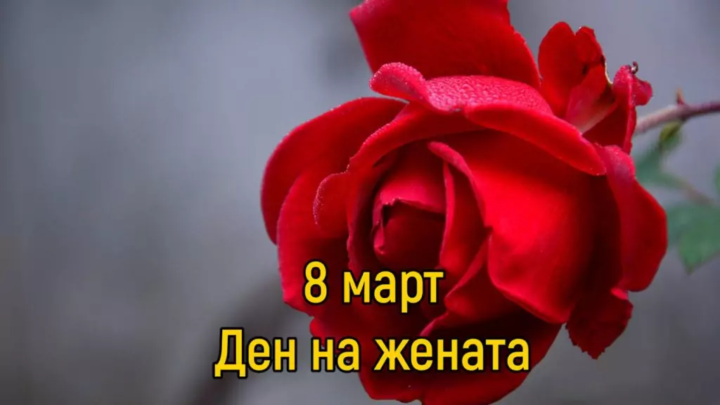 8 март - ден на жената