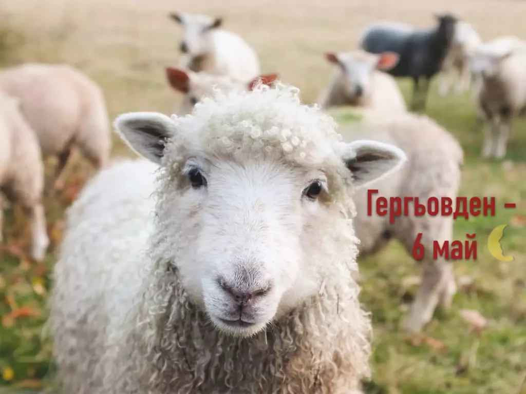 Информация за Гергьовден - 6 май