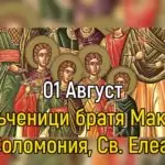 Св. 7 мчци братята Макавеи, Св. Соломония