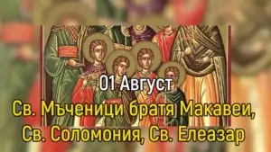 Св. 7 мчци братята Макавеи, Св. Соломония