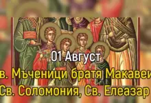 Св. 7 мчци братята Макавеи, Св. Соломония