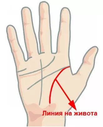 Линия на живота