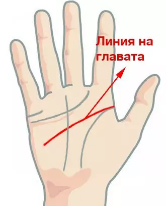 Линия на главата (линия на мъдростта) Линия на главата (линия на мъдростта)