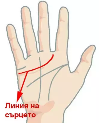 Линия на сърцето (линия на любовта)