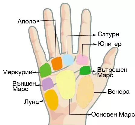 Значение на планините на дланта