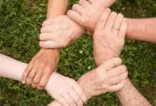 Линия на семейството