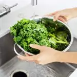 Кое как влияе на нашето здраве и дълголетие?