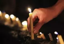 задушница