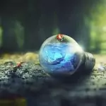 Поверия за Спасовден