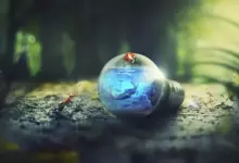 Поверия за Спасовден