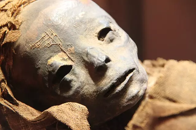 Факти за мумийте