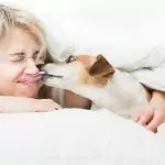 Не позволявайте на кучето да ви ближе лицето