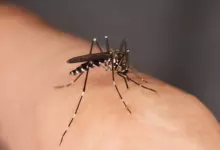 ухапване
