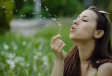 желание