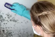 плесен в къщи
