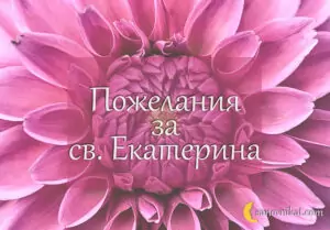 пожелания св. екатерина