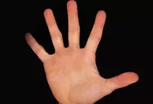 Цвета на дланите