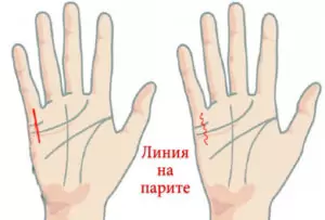 линия на парите