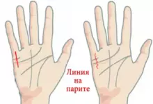 линия на парите