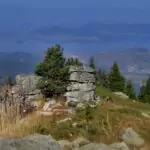 Тежко болни получават изцеление на Баташки Снежник