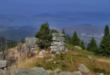 баташки снежник