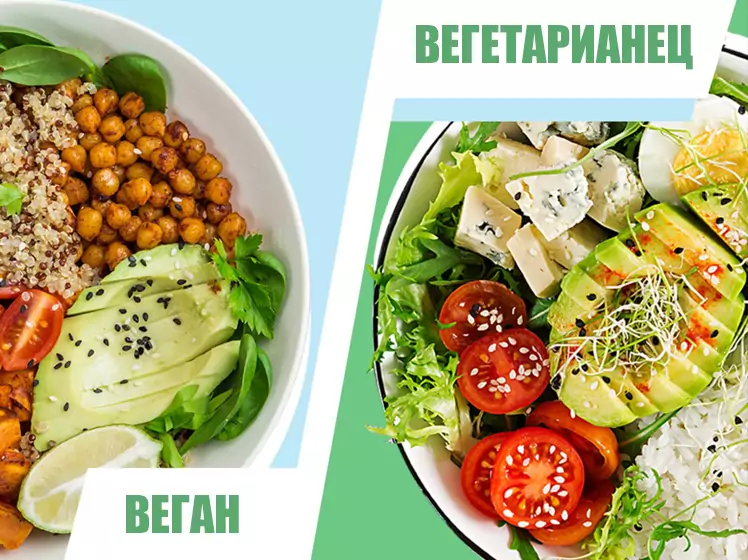 Веган - Вегетарианец Веган - Вегетарианец