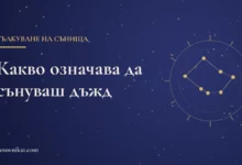 Заглавна карта: Какво означава да сънуваш дъжд