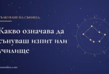 Заглавна карта: Какво означава да сънуваш изпит или училище