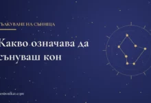 Заглавна карта: Какво означава да сънуваш кон