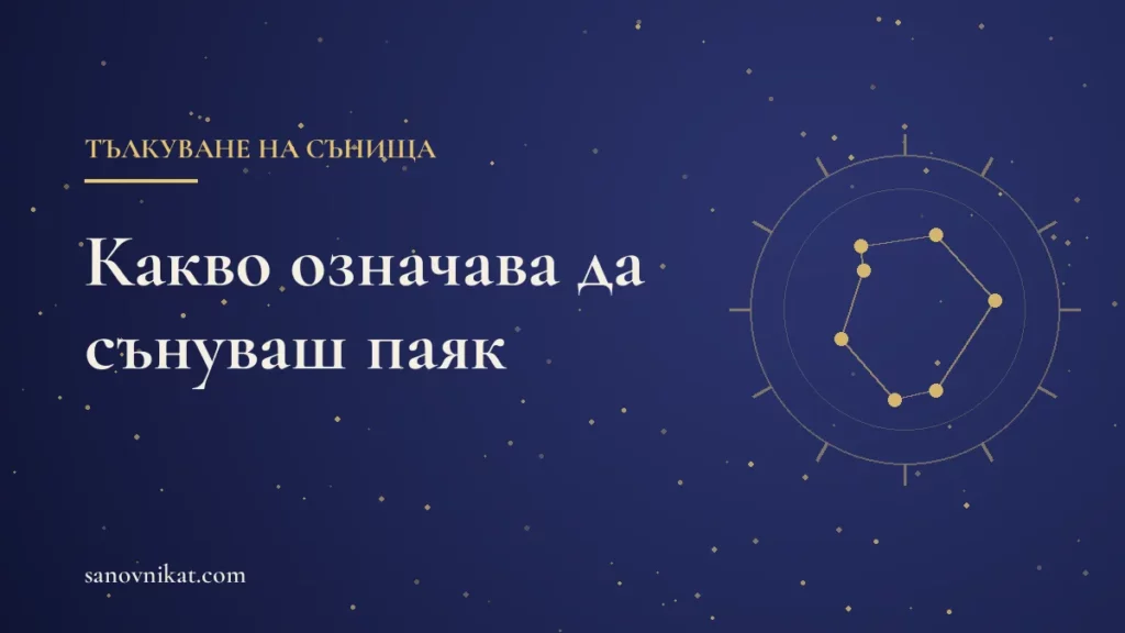 Какво означава да сънуваш паяк: паяжина, голям паяк и ухапване