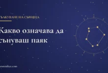 Заглавна карта: Какво означава да сънуваш паяк