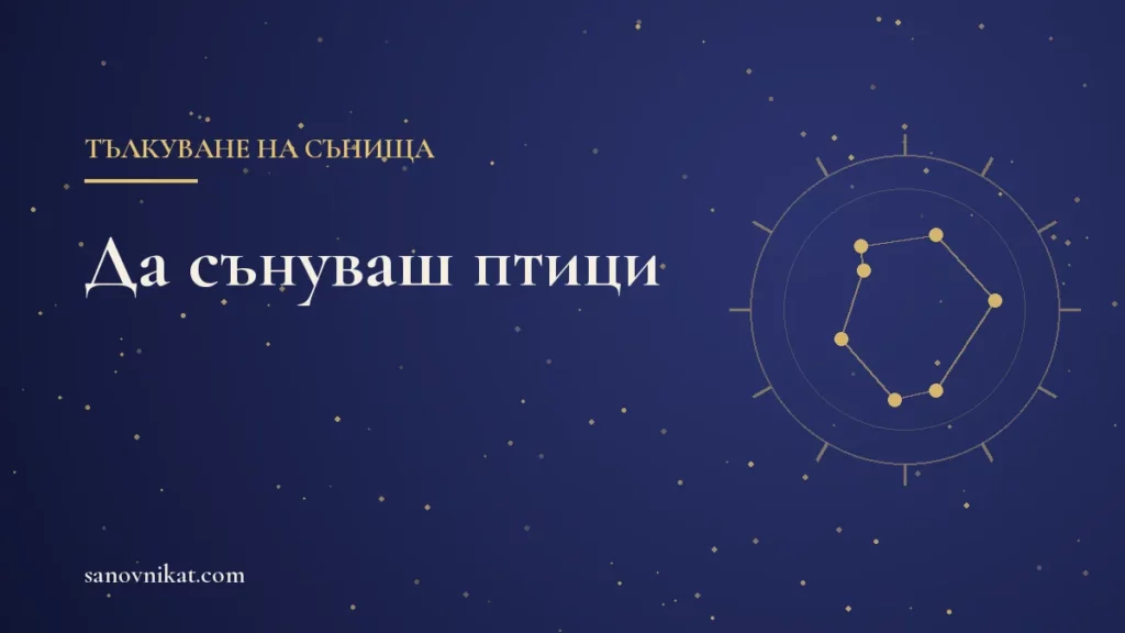 Какво означава да сънуваш птици: гълъб, щъркел, лястовица, сова и врана