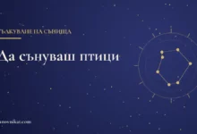Заглавна карта: Какво означава да сънуваш птици