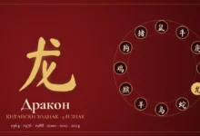 Дракон в китайския зодиак – йероглиф и години