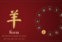 Коза в китайския зодиак – йероглиф и години
