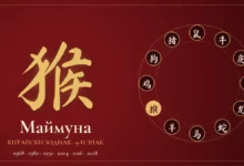 Маймуна в китайския зодиак – йероглиф и години
