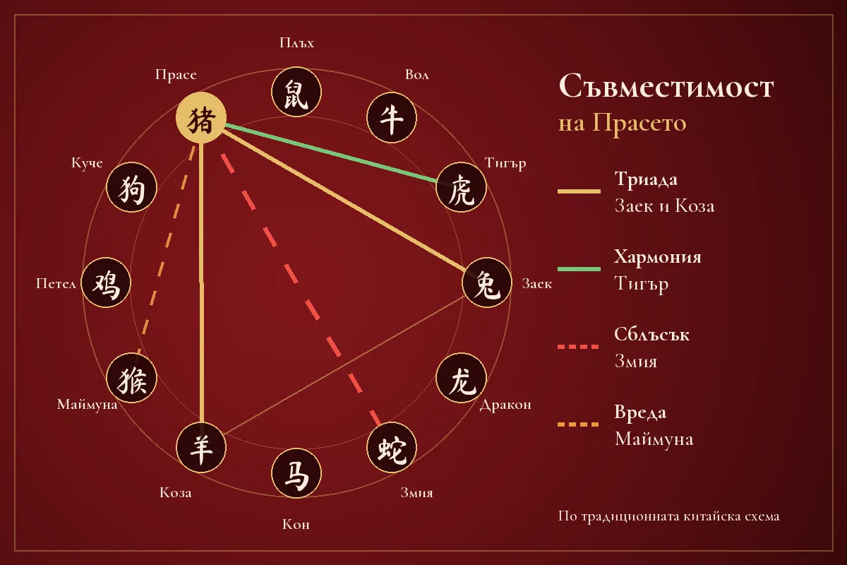 Схема на съвместимостта на Прасето в китайския зодиак