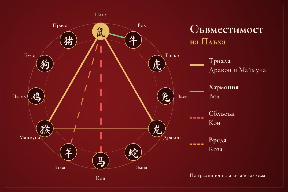 Схема на съвместимостта на Плъха в китайския зодиак