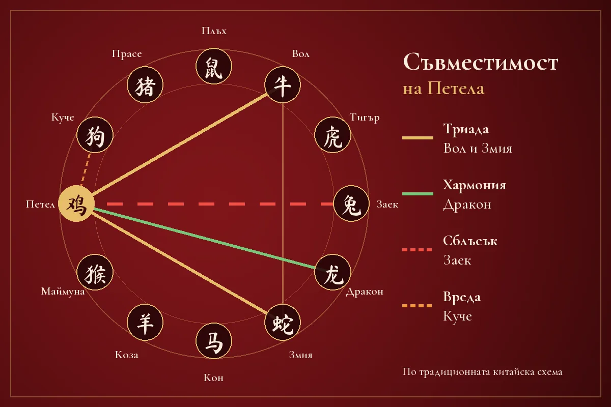Схема на съвместимостта на Петела в китайския зодиак