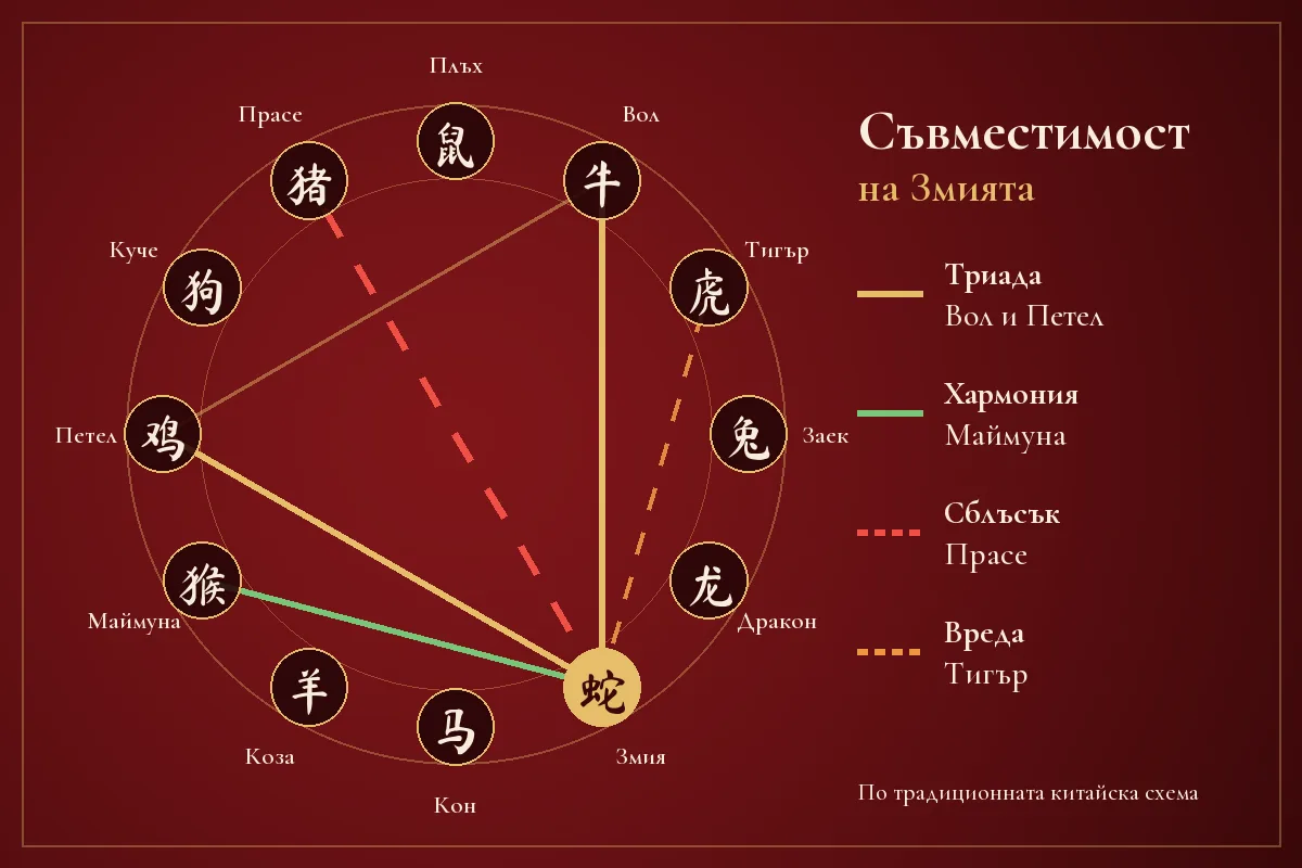 Схема на съвместимостта на Змията в китайския зодиак