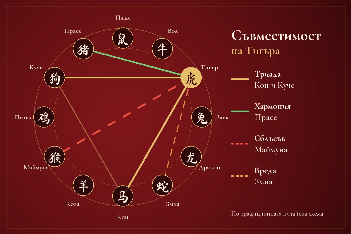 Схема на съвместимостта на Тигъра в китайския зодиак