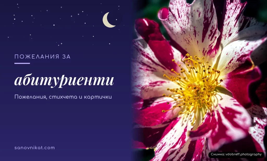 Пожелания за абитуриенти