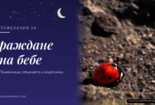 Пожелания за раждане на бебе