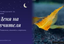 Пожелания за Деня на учителя