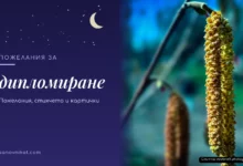 Пожелания за дипломиране