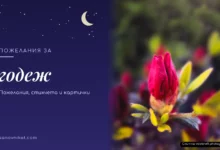Пожелания за годеж