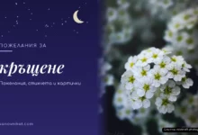 Пожелания за кръщене