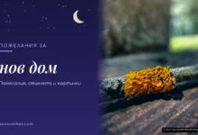 Пожелания за нов дом