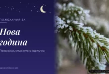 Пожелания за Нова година