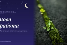 Пожелания за нова работа